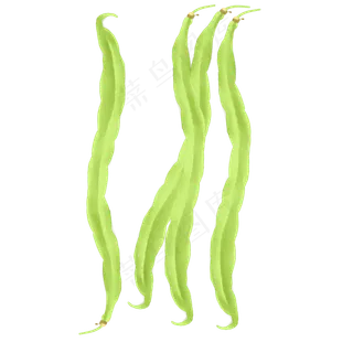 处暑四季豆商用元素