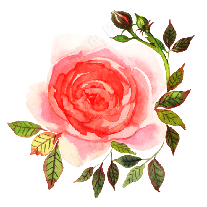 唯美红色水彩花卉(2000X2000(DPI:300))psd模版下载