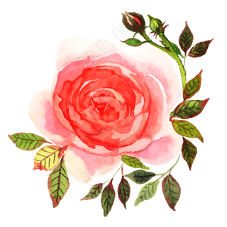 唯美红色水彩花卉
