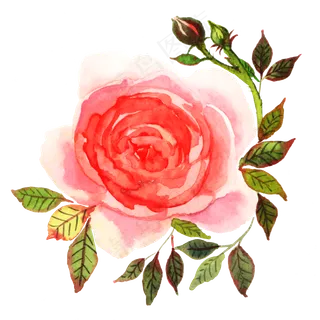 唯美红色水彩花卉