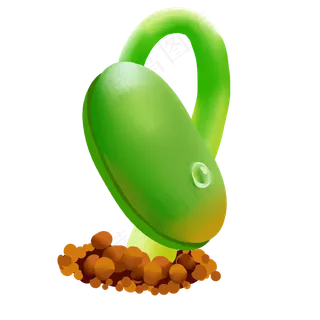 豆芽可爱绿色食品蔬菜农作物 豆芽可爱绿色食品蔬菜农作物