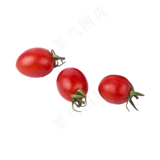 小番茄（png免抠）