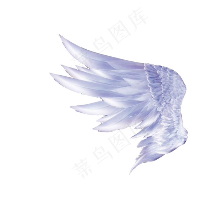 白色翅膀,免抠元素