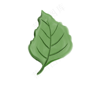 绿色的一片叶子装饰免抠插图