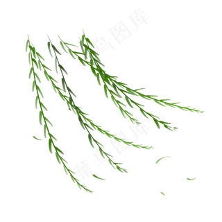 春分绿色小清新微风拂动柳树柳枝,免抠元素