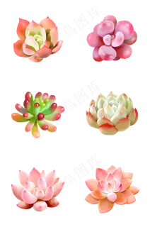 小清新水彩多肉植物系列,免抠元素