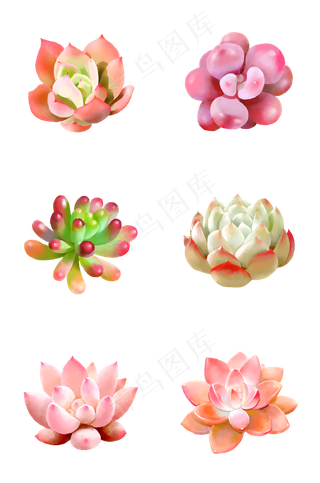 小清新水彩多肉植物系列,免抠元素