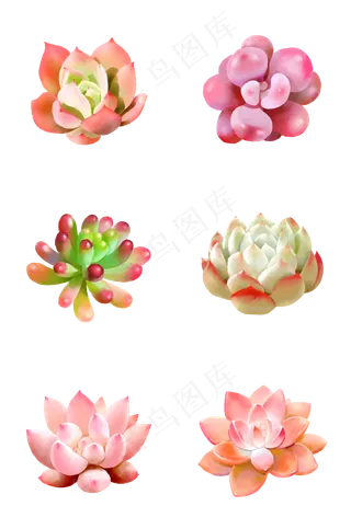 小清新水彩多肉植物系列,免抠元素