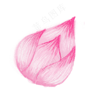 含苞待放的荷花