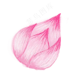 含苞待放的荷花