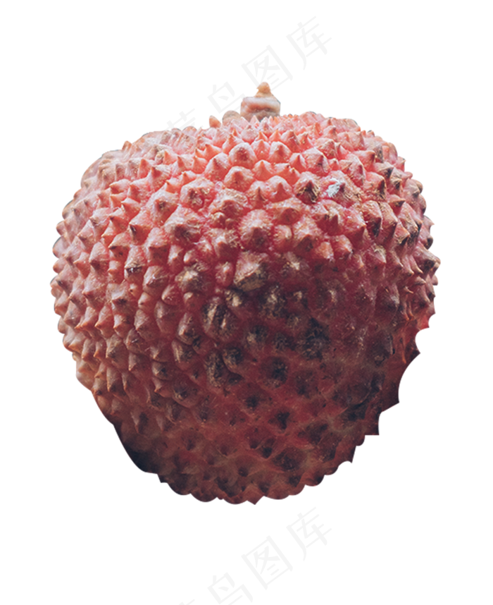完整荔枝一颗,免抠元素