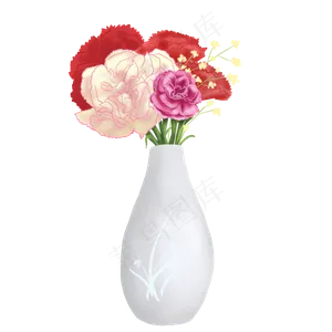 植物花类康乃馨插花手绘