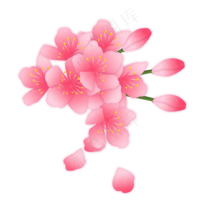 樱花春季花季粉色,免抠元素(2000X2000(DPI:300))psd模版下载