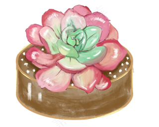 小清新多肉植物彩色绿色植物盆栽,免抠元素