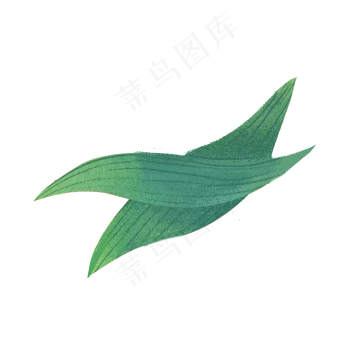 端午节包粽子的叶子素材