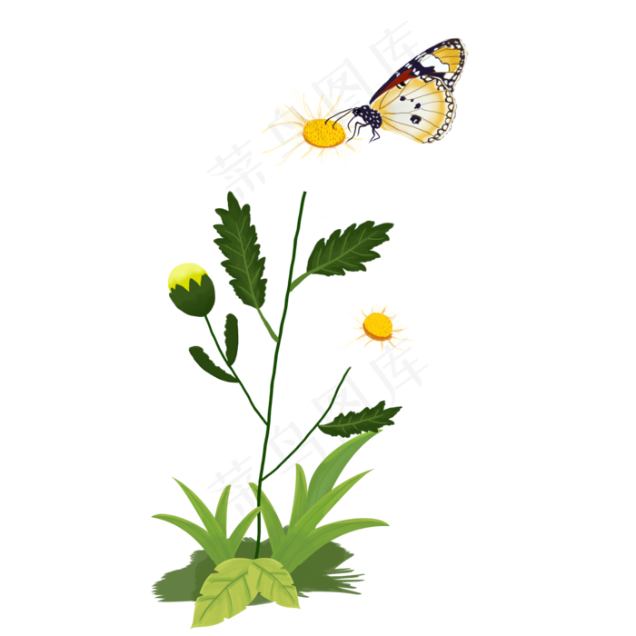 春天的雏菊和蝴蝶,免抠元素(2000*2000px 300 dpi )psd模版下载