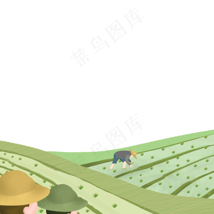 卡通绿色的稻田和植物