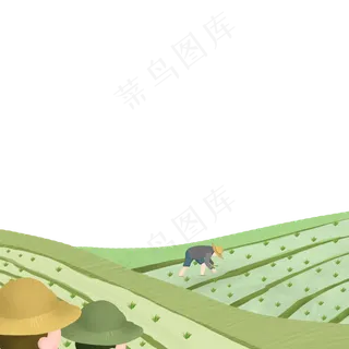 卡通绿色的稻田和植物