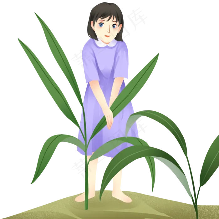 端午节采粽叶女孩(2000X2000(DPI:300))psd模版下载