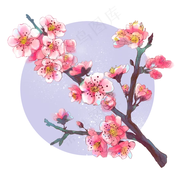 水彩粉红桃花,免抠元素(2500*2500px 300 dpi )psd模版下载