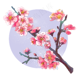 水彩粉红桃花,免抠元素