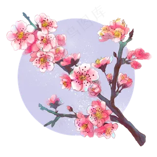 水彩粉红桃花,免抠元素