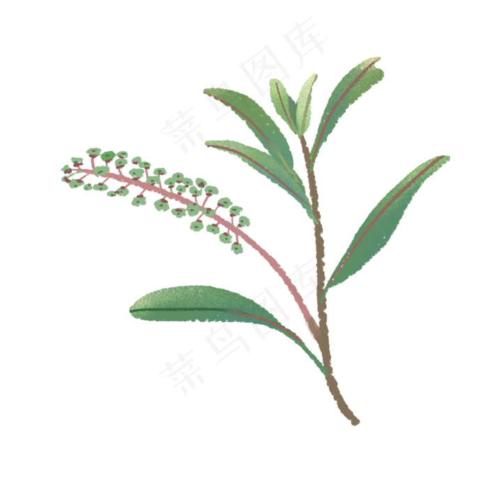 绿色植物小清新手绘