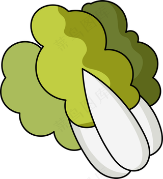 矢量大白菜蔬菜设计元素