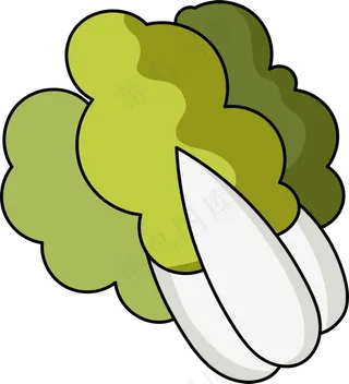 矢量大白菜蔬菜设计元素