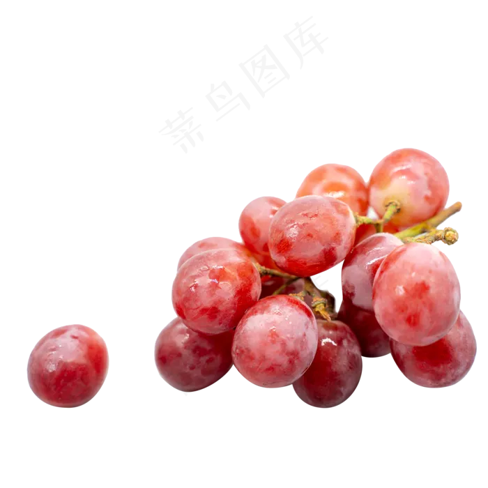 红葡萄提子