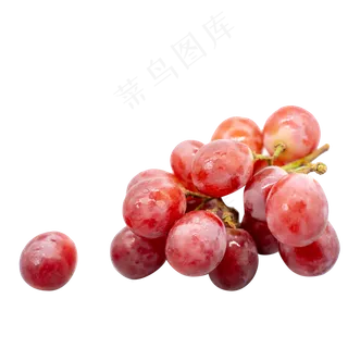 红葡萄提子