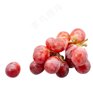 红葡萄提子