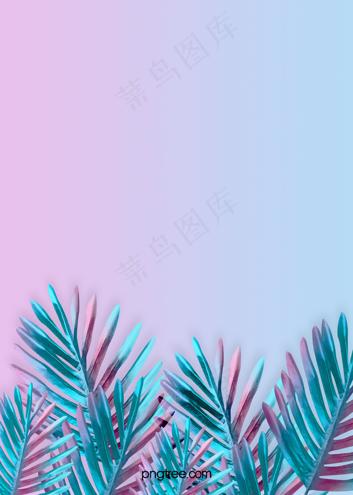 夏季彩色渐变创意棕榈叶背景