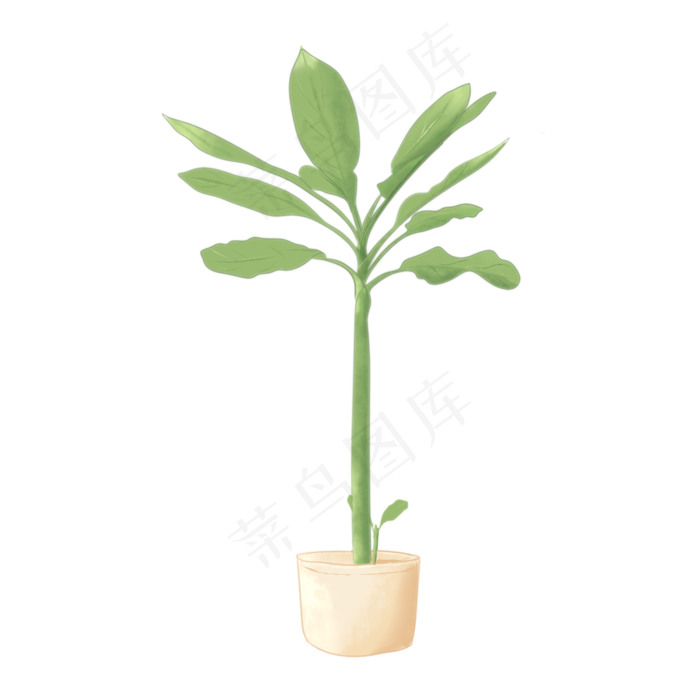 植物手绘水彩盆栽(2050X2050(DPI:299))psd模版下载