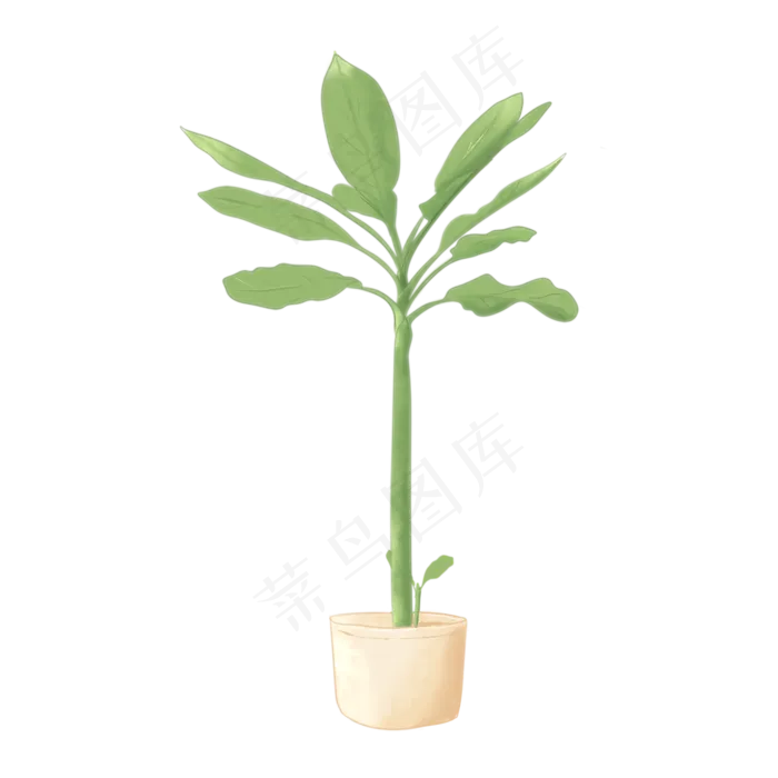 植物手绘水彩盆栽(2050X2050(DPI:299))psd模版下载