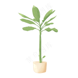 植物手绘水彩盆栽