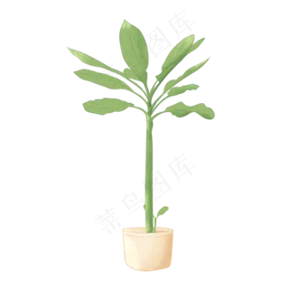 植物手绘水彩盆栽
