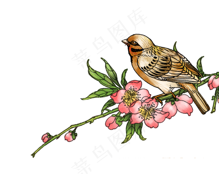 粉色桃花鸟水彩唯美清新绿叶与鸟,免抠元素