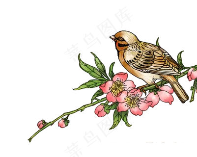 粉色桃花鸟水彩唯美清新绿叶与鸟,免抠元素