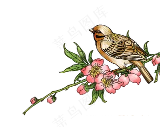粉色桃花鸟水彩唯美清新绿叶与鸟,免抠元素