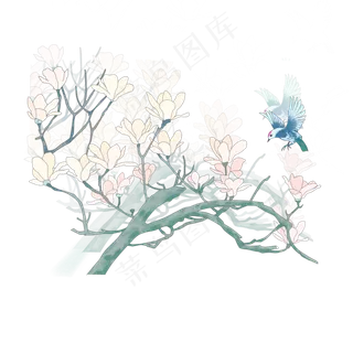 工笔水墨雀鸟玉兰春天国画装饰,免抠元素