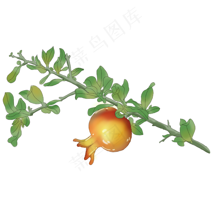 夏天植物水果石榴(3000X3000(DPI:300))psd模版下载