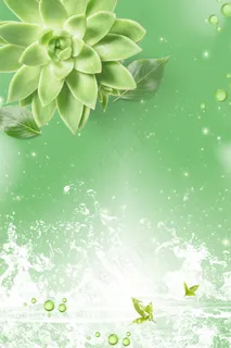 清新绿色植物护肤