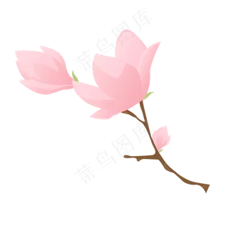 矢量免扣卡通兰花,免抠元素 矢量免扣卡通兰花,免抠元素