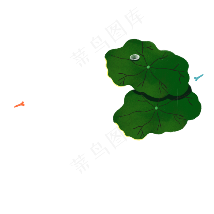 绿色荷叶蜻蜓(2000X2000(DPI:300))psd模版下载