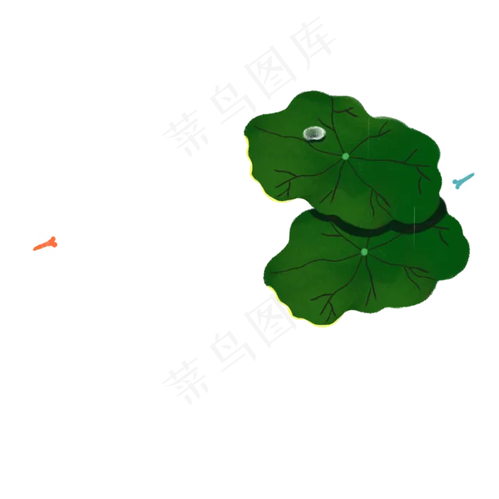 绿色荷叶蜻蜓(2000X2000(DPI:300))psd模版下载