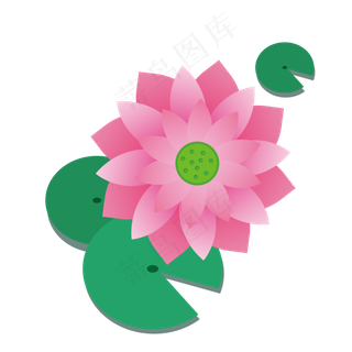 二十四节气之大暑荷叶荷花矢量图