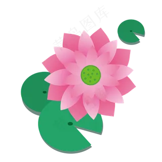 二十四节气之大暑荷叶荷花矢量图