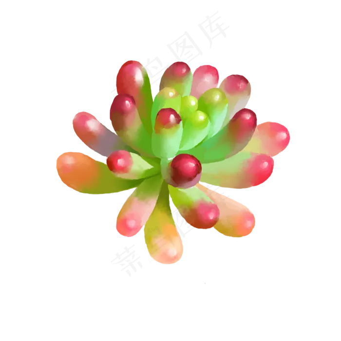 小清新水彩多肉植物4,免抠元素