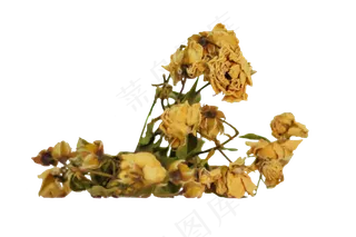 情人节黄玫瑰装饰